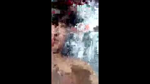 tauroguason online show from April 6, 5:19 am