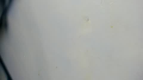 taz_box online show from June 21, 11:54 pm