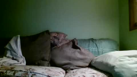 Teak online show from November 17, 1:14 pm