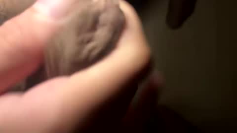 masturbation Intern online show from September 21, 1:33 pm