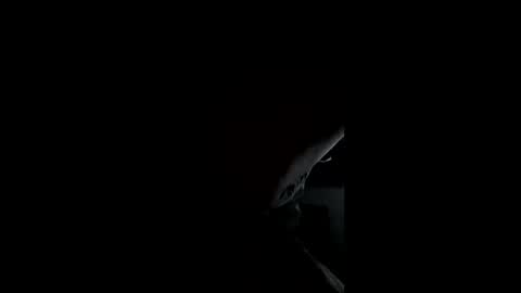 tennessetiger online show from September 15, 11:22 am