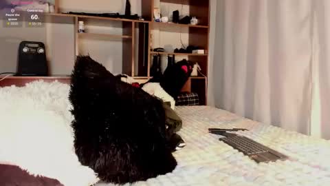 Teo online show from March 26, 10:03 pm