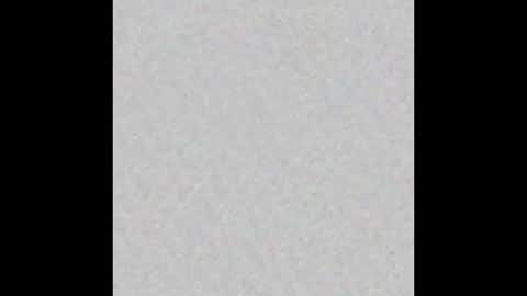 TexPig online show from March 30, 4:35 am