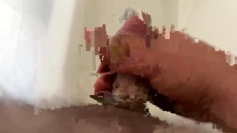 thatoneguy265 online show from December 1, 1:25 pm