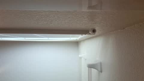 theblessed1 online show from September 28, 4:16 pm