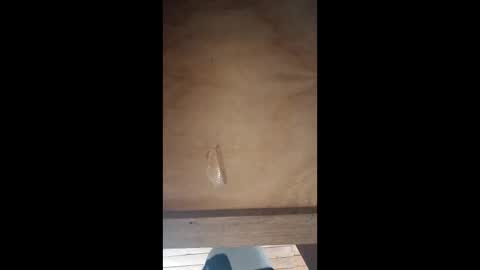 thebluesky_18 online show from December 4, 6:48 pm