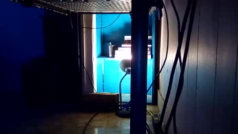 theepussypirate online show from February 26, 2:57 am