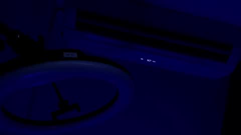 Theo Sky online show from November 4, 2:29 pm