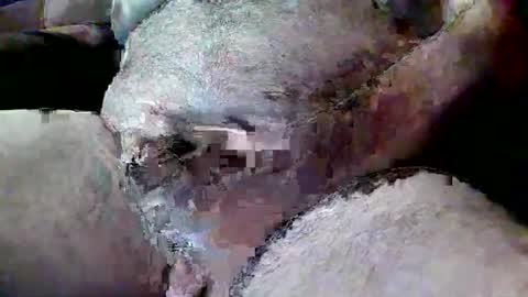 ThiccD online show from July 13, 6:54 pm