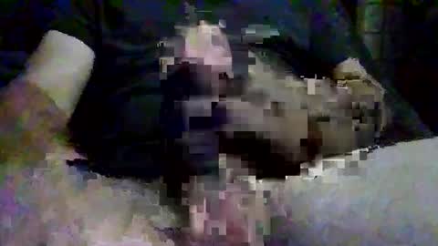 Snapshot of thickandhard54321 chatting on October 6, 11:53 pm thickandhard54321 online show from October 6, 11:53 pm