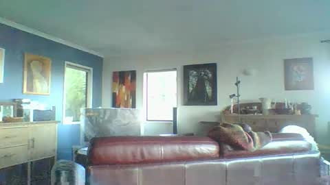 Snapshot of thickcockat71 chatting on October 5, 6:56 pm Thickcockat71 online show from October 5, 6:56 pm