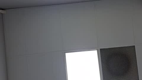 Vols online show from February 25, 11:41 am