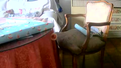 Snapshot of tobikoyuzu chatting on December 14, 4:31 pm Tobiko online show from December 14, 4:31 pm