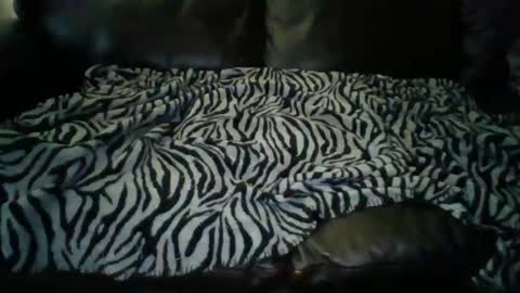 tofubucket online show from January 12, 11:26 pm