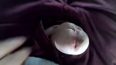 Tomas online show from January 11, 8:32 pm