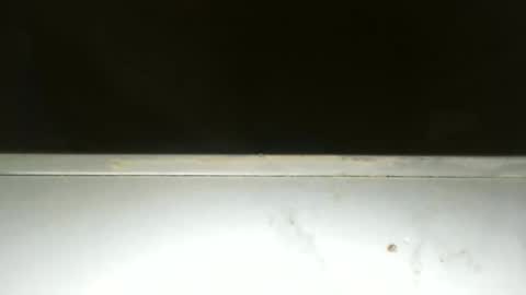 tomslong46 online show from April 27, 9:39 am