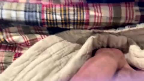 Snapshot of tree553 chatting on December 28, 6:50 pm tree553 online show from December 28, 6:50 pm