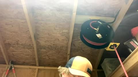 treeman817 online show from June 16, 1:41 am