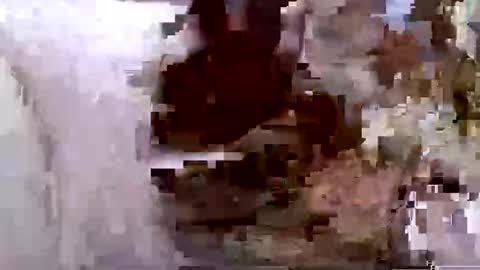 troy1965 online show from April 28, 5:45 am
