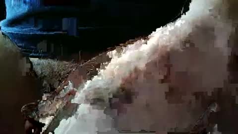 vamale online show from December 3, 6:28 pm