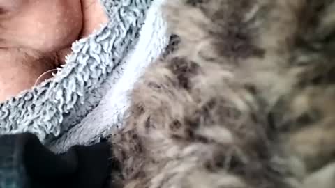 Vanyllaice online show from February 6, 7:07 pm