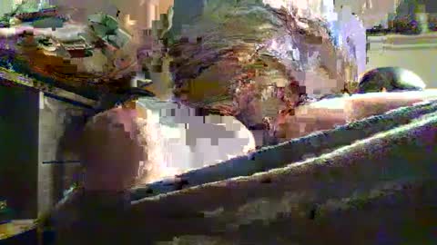 veldranz online show from December 21, 1:36 am