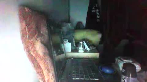 velian_hard online show from December 23, 4:21 am