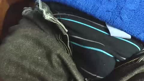 Erik online show from April 7, 7:41 am