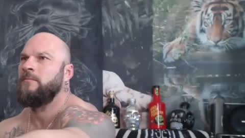 viking online show from April 24, 10:50 am