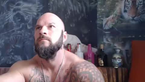 viking online show from October 2, 9:24 am