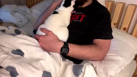 Vince online show from February 5, 1:04 am