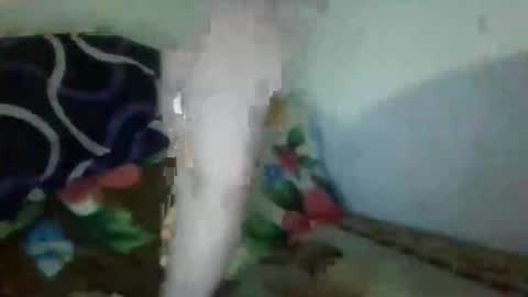 Vali online show from February 5, 4:30 am