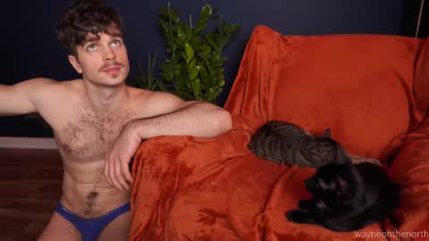 waynenorth online show from November 22, 4:39 pm