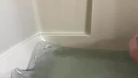 wet420wild online show from January 5, 5:20 pm