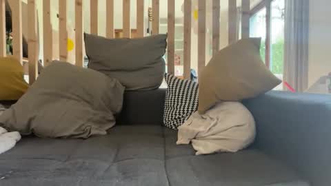 whitecox74828 online show from February 15, 11:51 am