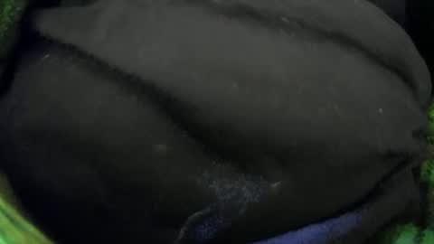 whobate1 online show from March 23, 8:20 am