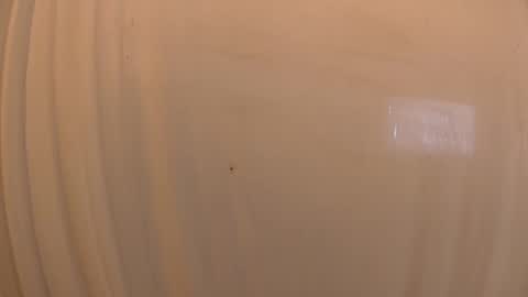 Mater online show from October 19, 3:26 pm