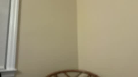 workmyassxxx online show from December 12, 11:36 pm