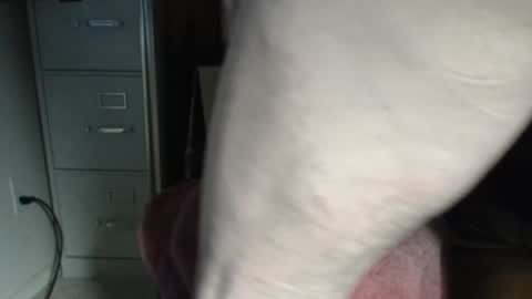 Whoopy III online show from January 12, 8:57 pm