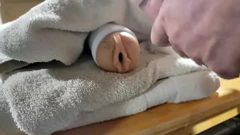 xanonymous_couplex online show from April 2, 12:35 pm