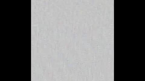 JSSD online show from November 23, 8:53 pm