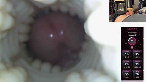 xoxowtf online show from December 15, 4:31 am