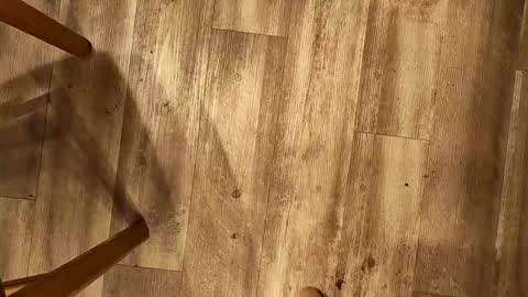 xxxonanxxx online show from March 19, 7:06 pm