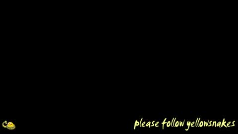 .     y e l l o w s n a k e s       . online show from April 18, 1:56 pm