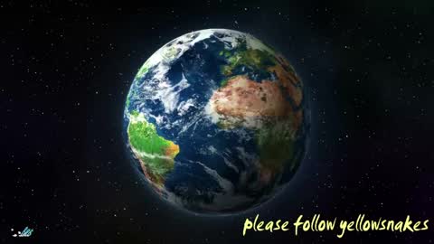 .     y e l l o w s n a k e s       . online show from April 19, 6:10 pm