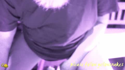 .     y e l l o w s n a k e s       . online show from March 25, 7:34 am