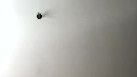 yorkrino772207 online show from September 12, 12:38 pm