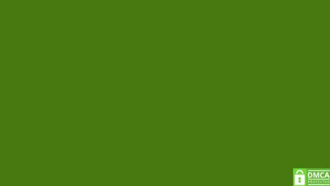 Pipo online show from September 19, 1:33 pm
