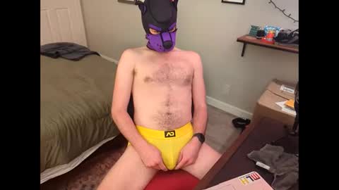 pup chomp live and clothed online show from February 6, 8:45 pm