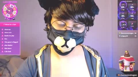 the puppy boy online show from July 11, 3:52 am